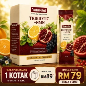 Naturgut - 1 Kotak